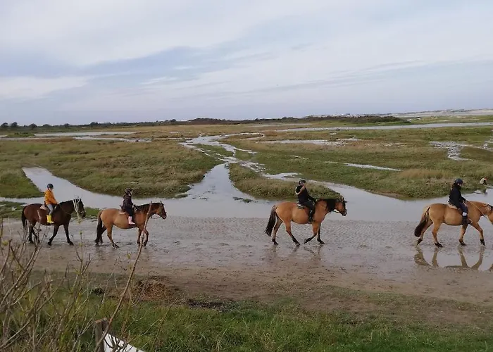 La Maison Rose Tatil Evi