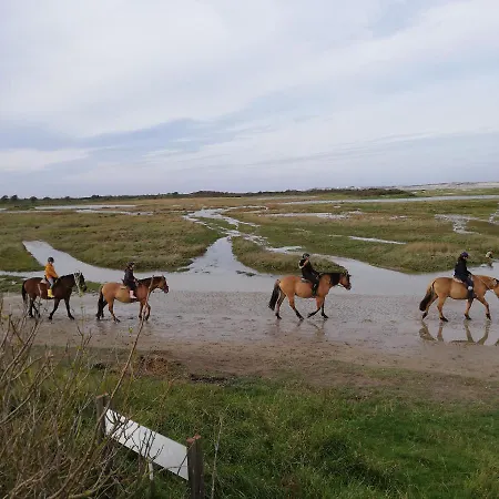 La Maison Rose Hébergement de vacances