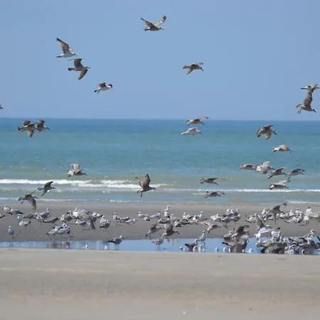 Semesterbostad La Maison Rose