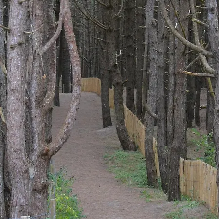 La Maison Rose Fort-Mahon-Plage