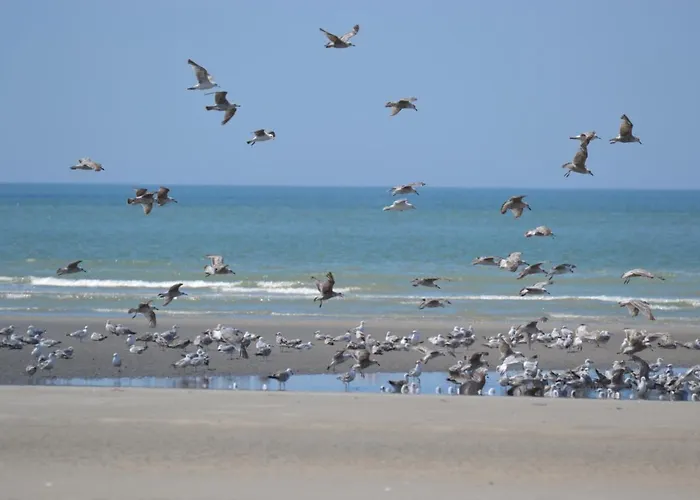 Hébergement de vacances La Maison Rose